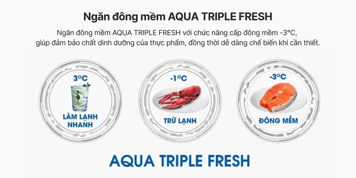 Tủ Lạnh Aqua 374 Lít Inveter AQR-T389FA(GP)